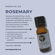 Load image into Gallery viewer, Rosemary Essential Oil

