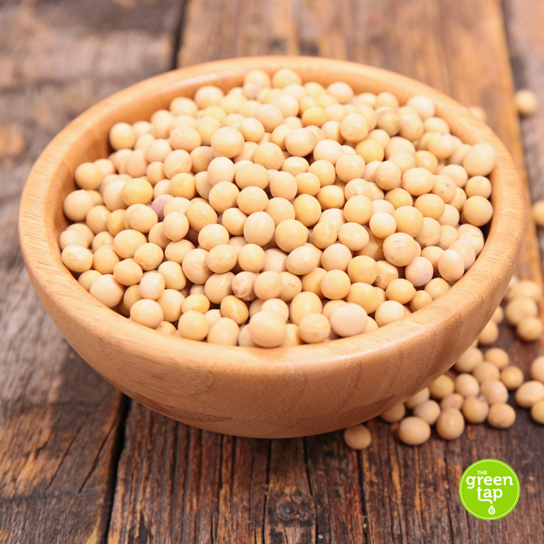 Soya Beans